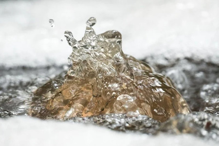 Fotografije dogodka predstavitev projekta in srečanje vseh projektnih partnerjev 24. januarja 2024 na gradu Negova 2